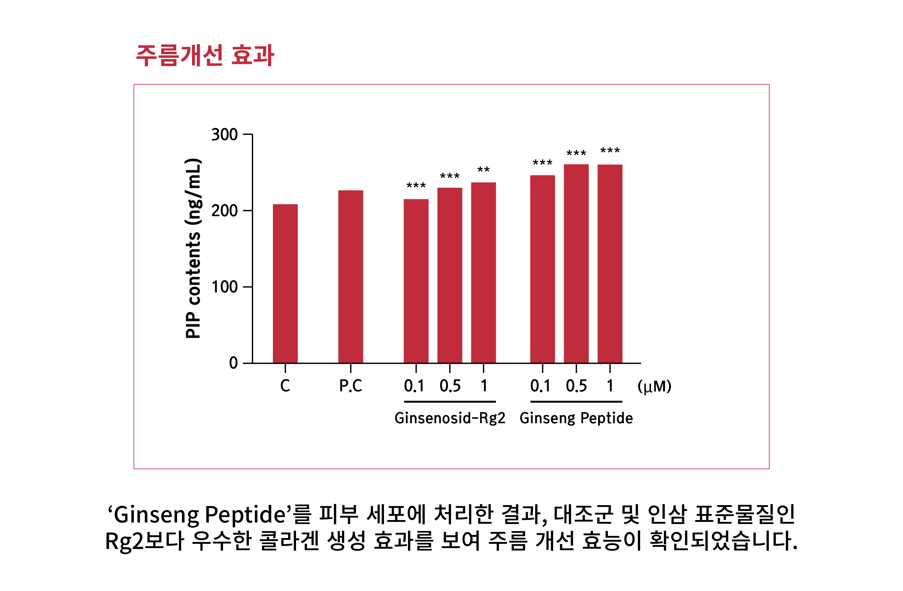 exVivo(내용)